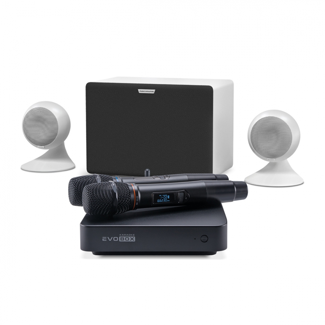 караоке-комплект EVOBOX Classic + EvoSound Sphere 2.1 в Сергиев Посаде