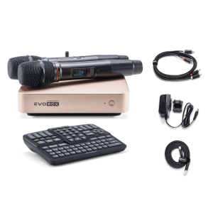 EVOBOX Classic караоке-система для дома в Сергиев Посаде